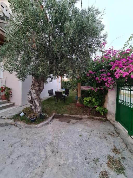 Semelia'S Guest House Σπάτα Εξωτερικό φωτογραφία